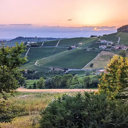 Charming Barolo Wine Loft Guest house Monforte D'Alba