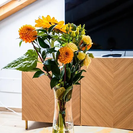 Πανσιόν Charming Barolo Wine Loft Monforte dʼAlba