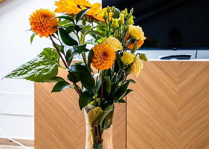 Gasthuis Charming Barolo Wine Loft Monforte dʼAlba