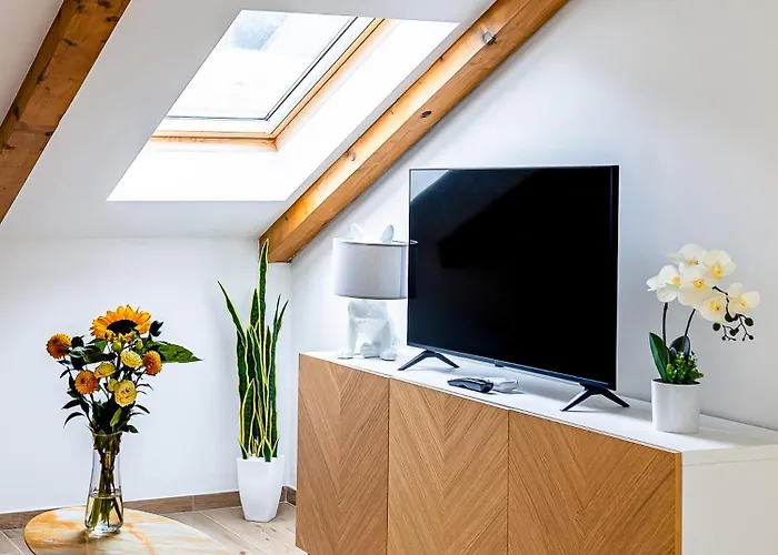 Charming Barolo Wine Loft 3*